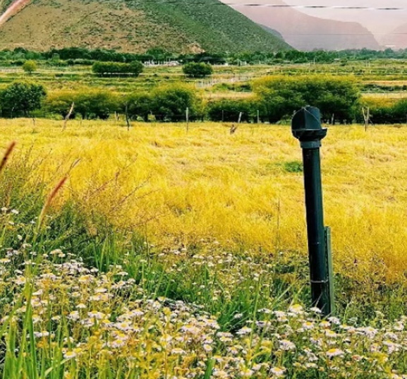 Rural Areas in Inner Mongolia ‑ Project Case (Domestic)