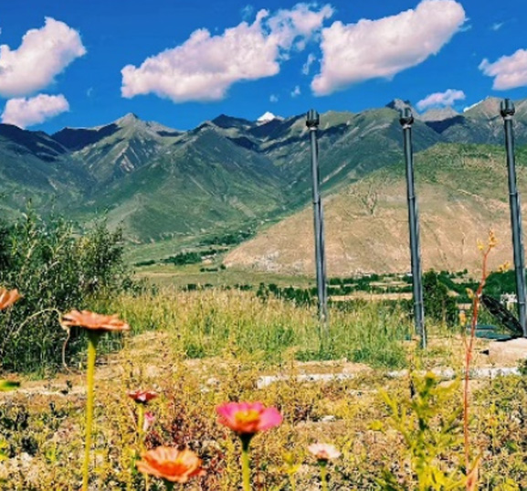 Scenic Spot in Xizang ‑ Project Case (Domestic)